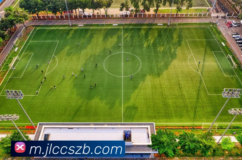 奖项证书
